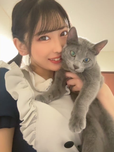 らん