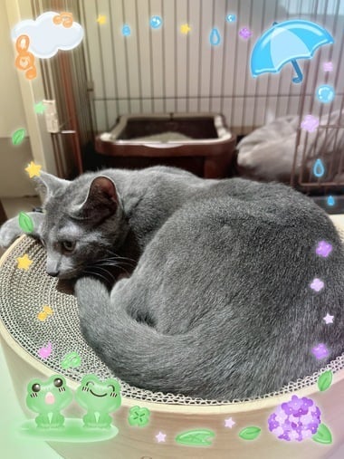 みと