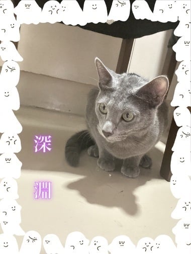みと