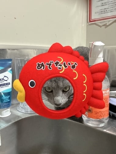みと