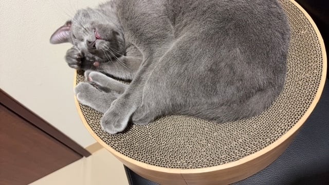 あずさ