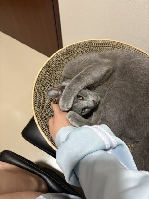 あずさ