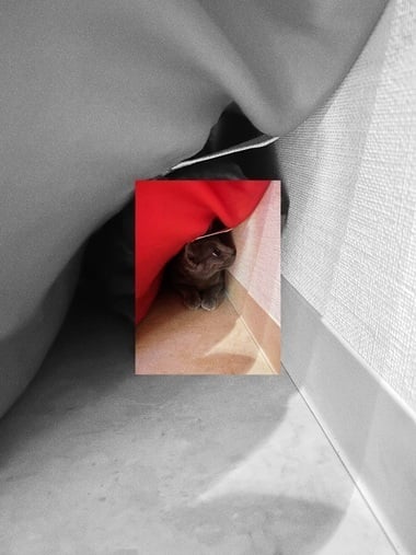 みと