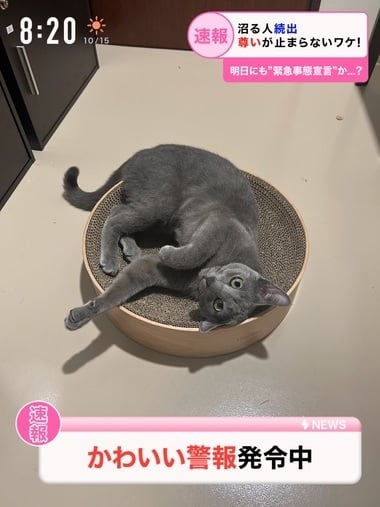 みと