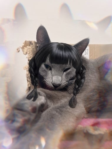 みと