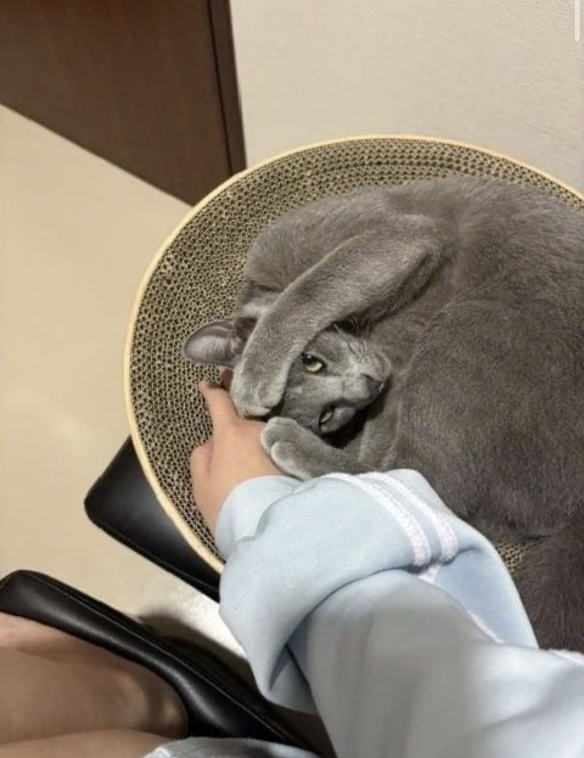 あずさ