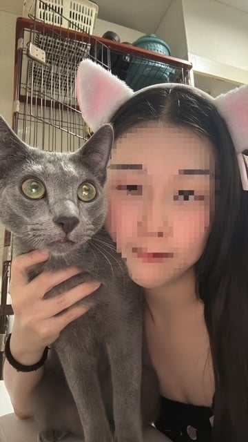 あずさ