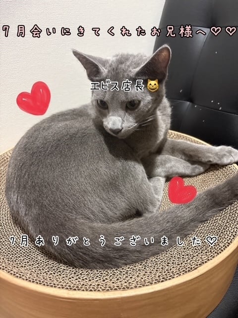 きらり