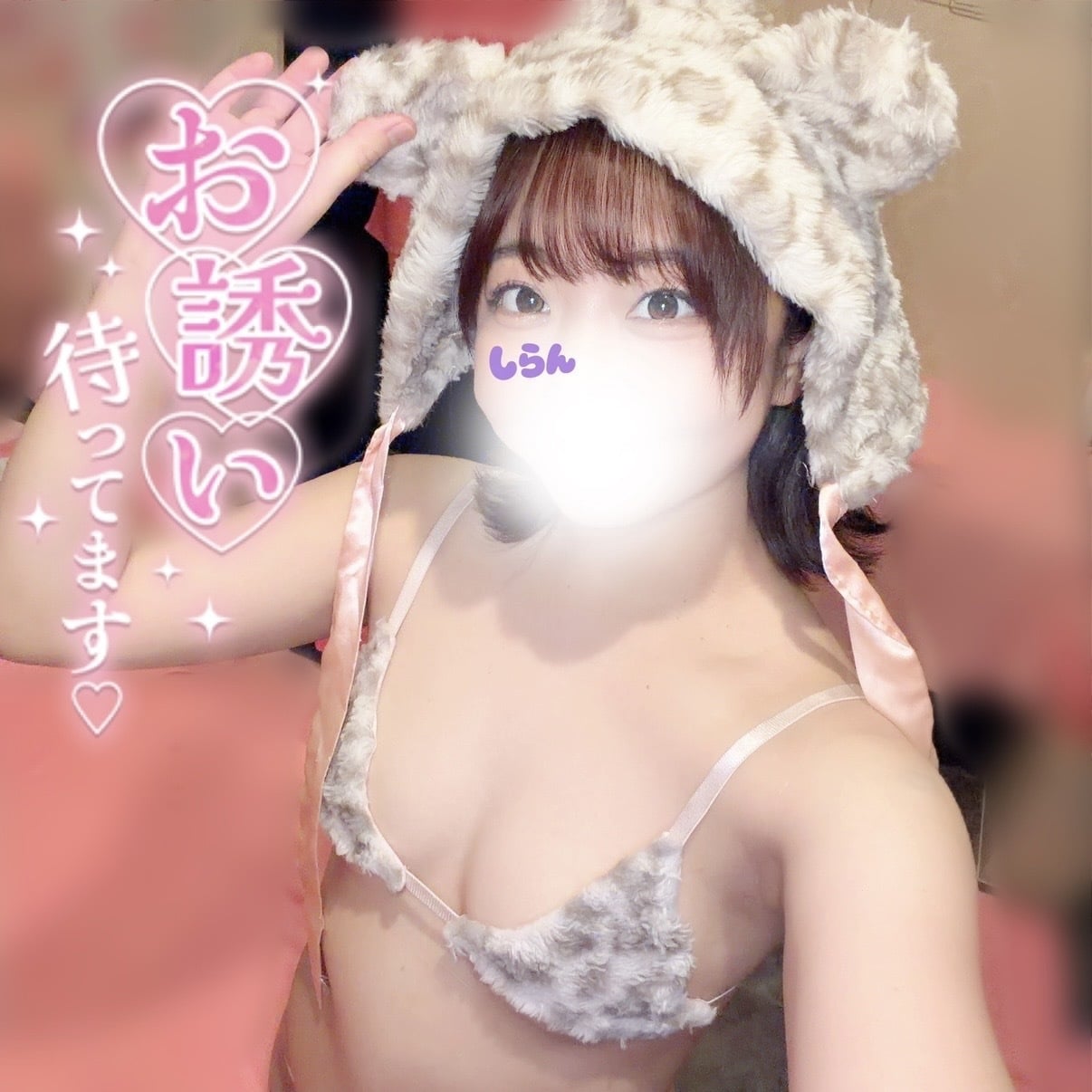 しらん