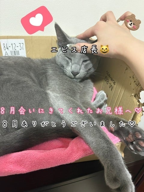 きらり